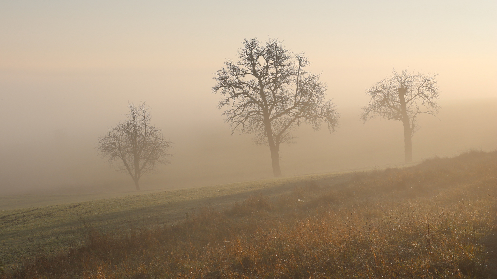 Früh am Morgen