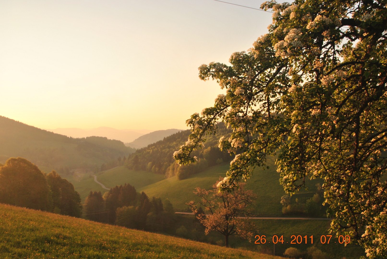 Früh am Morgen...