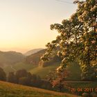 Früh am Morgen...