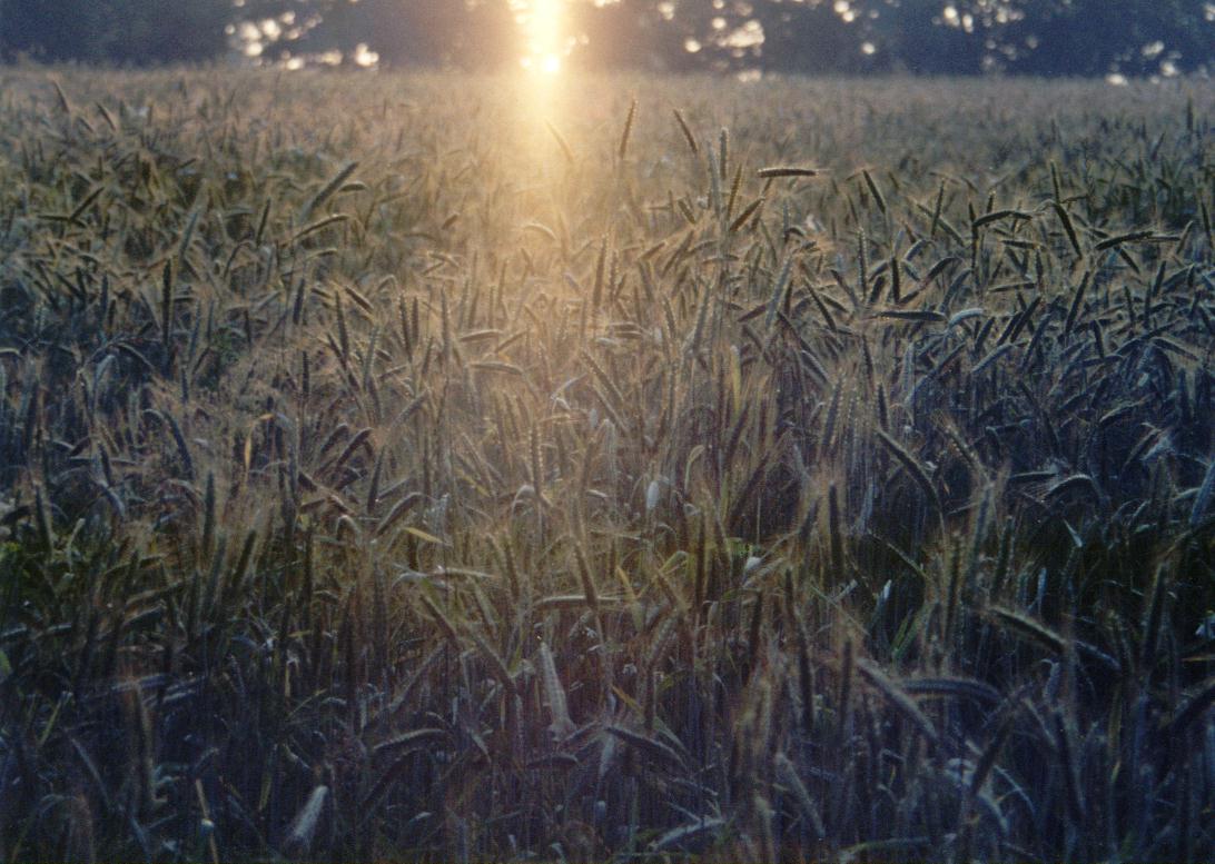 früh am morgen