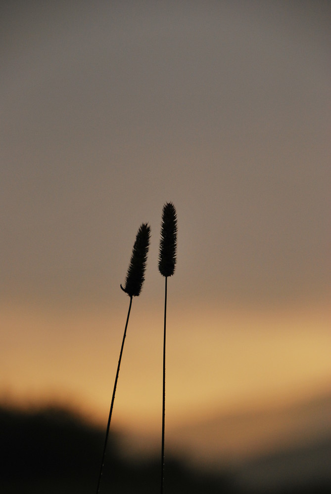 Früh am Morgen