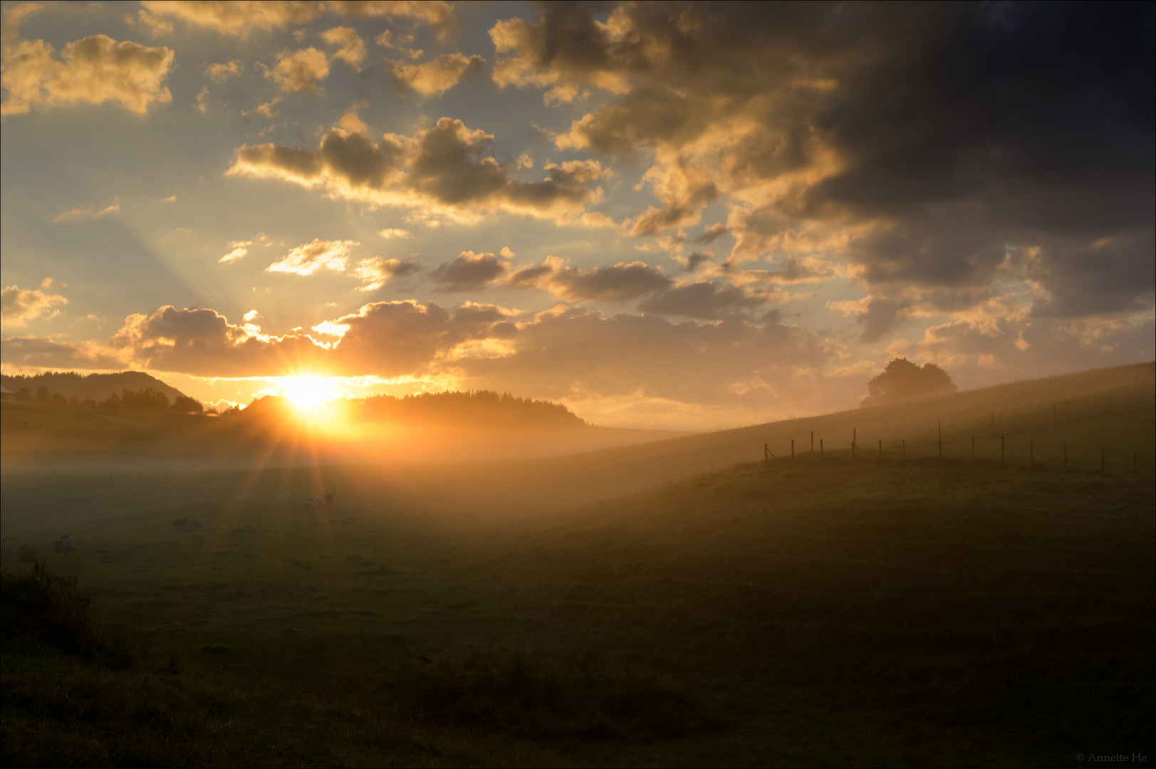 Früh am Morgen