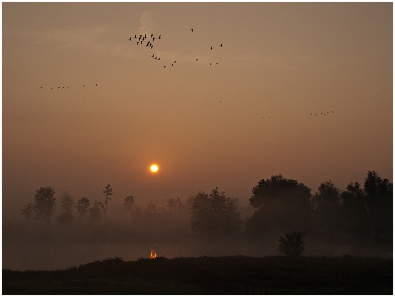 *Früh am Morgen*²