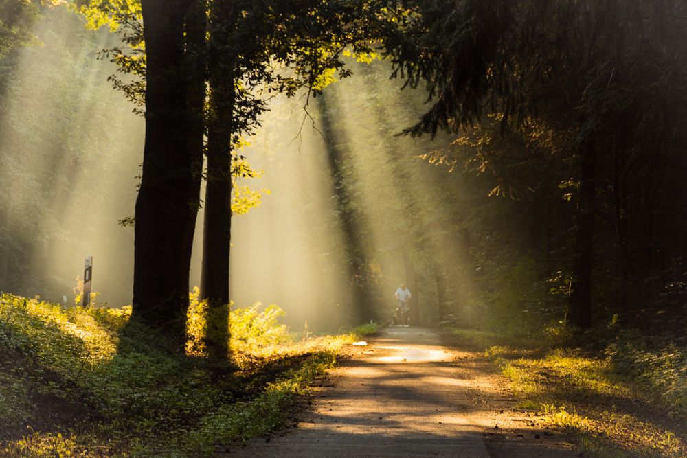 Früh am Morgen