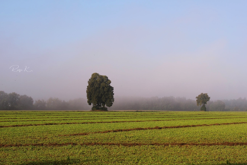 ***Früh am Morgen***