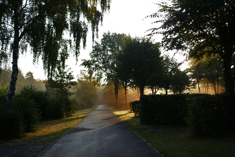 Früh am Morgen...