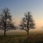 Früh am Morgen