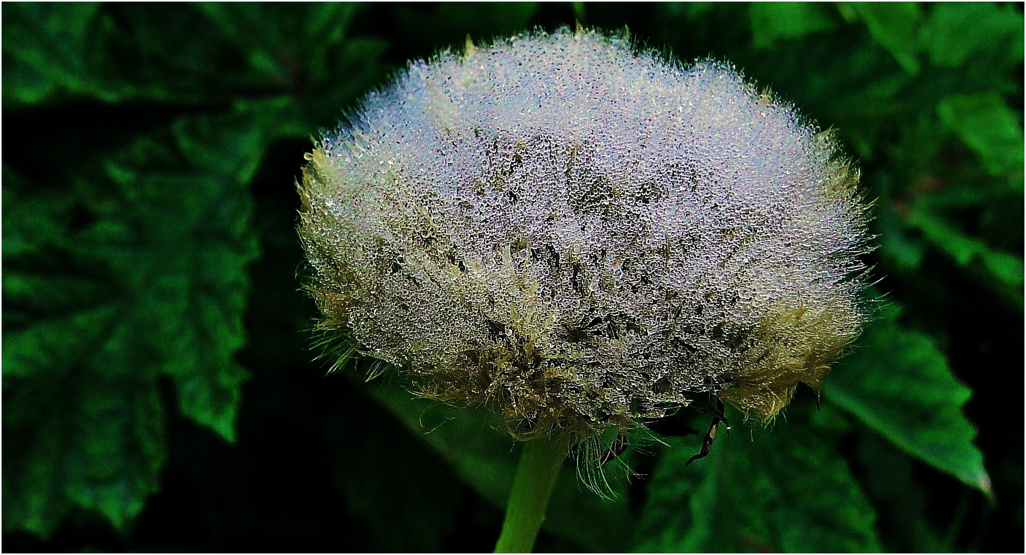 Früh am Morgen ....