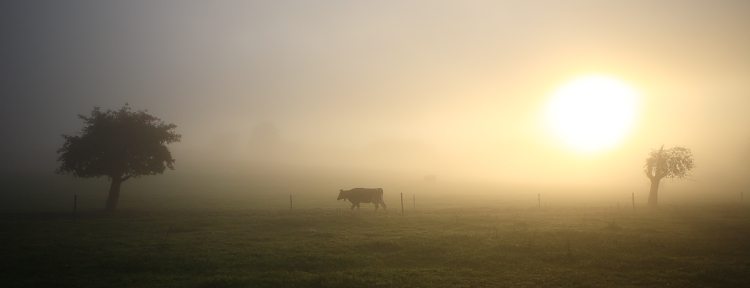 Früh am Morgen