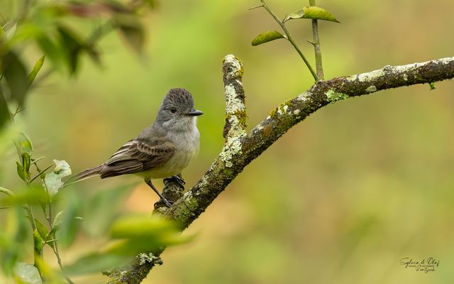 °°_Früh am morgen_°°