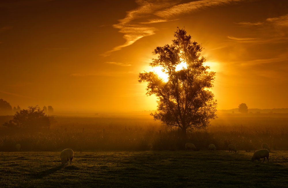 früh am Morgen