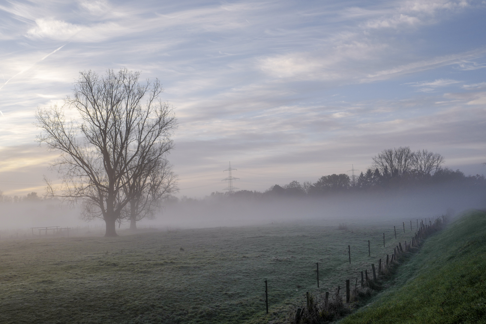 Früh am Morgen !