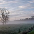 Früh am Morgen !