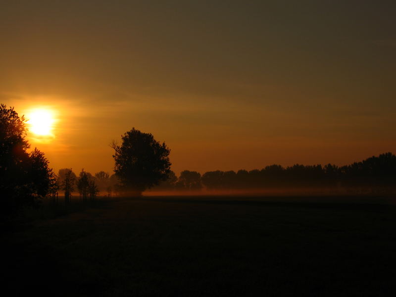 Früh am Morgen