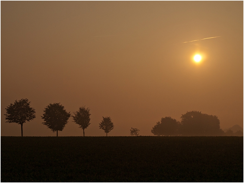 *Früh am Morgen*°