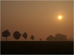 *Früh am Morgen*°