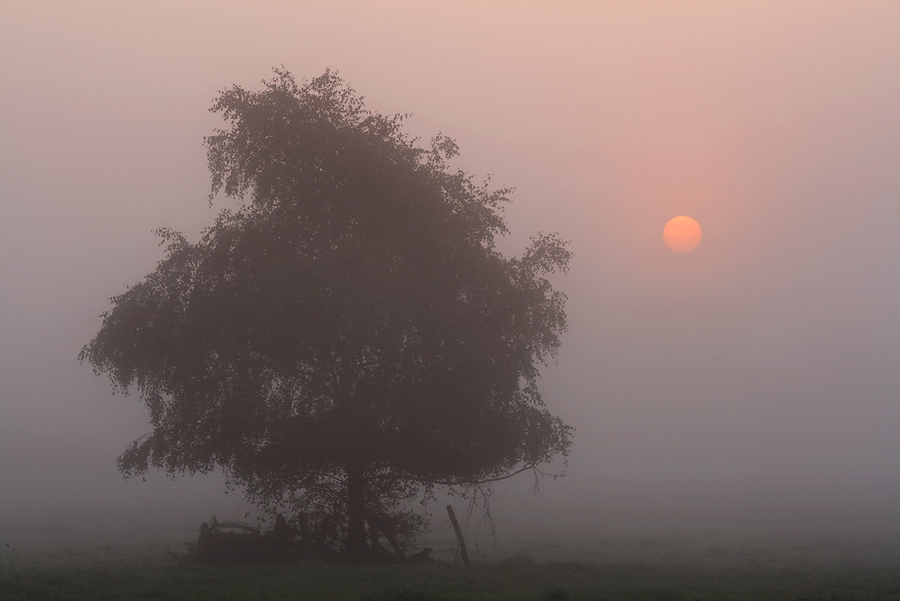 früh am Morgen...