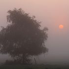 früh am Morgen...