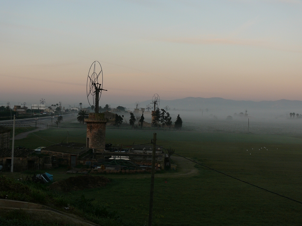 Früh am Morgen