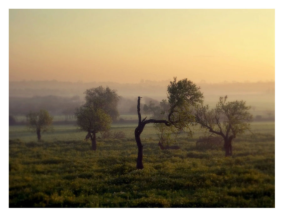 Früh am Morgen