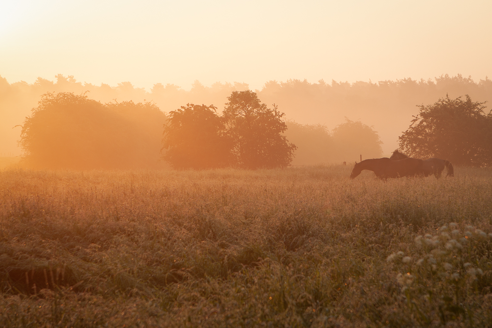 Früh am Morgen