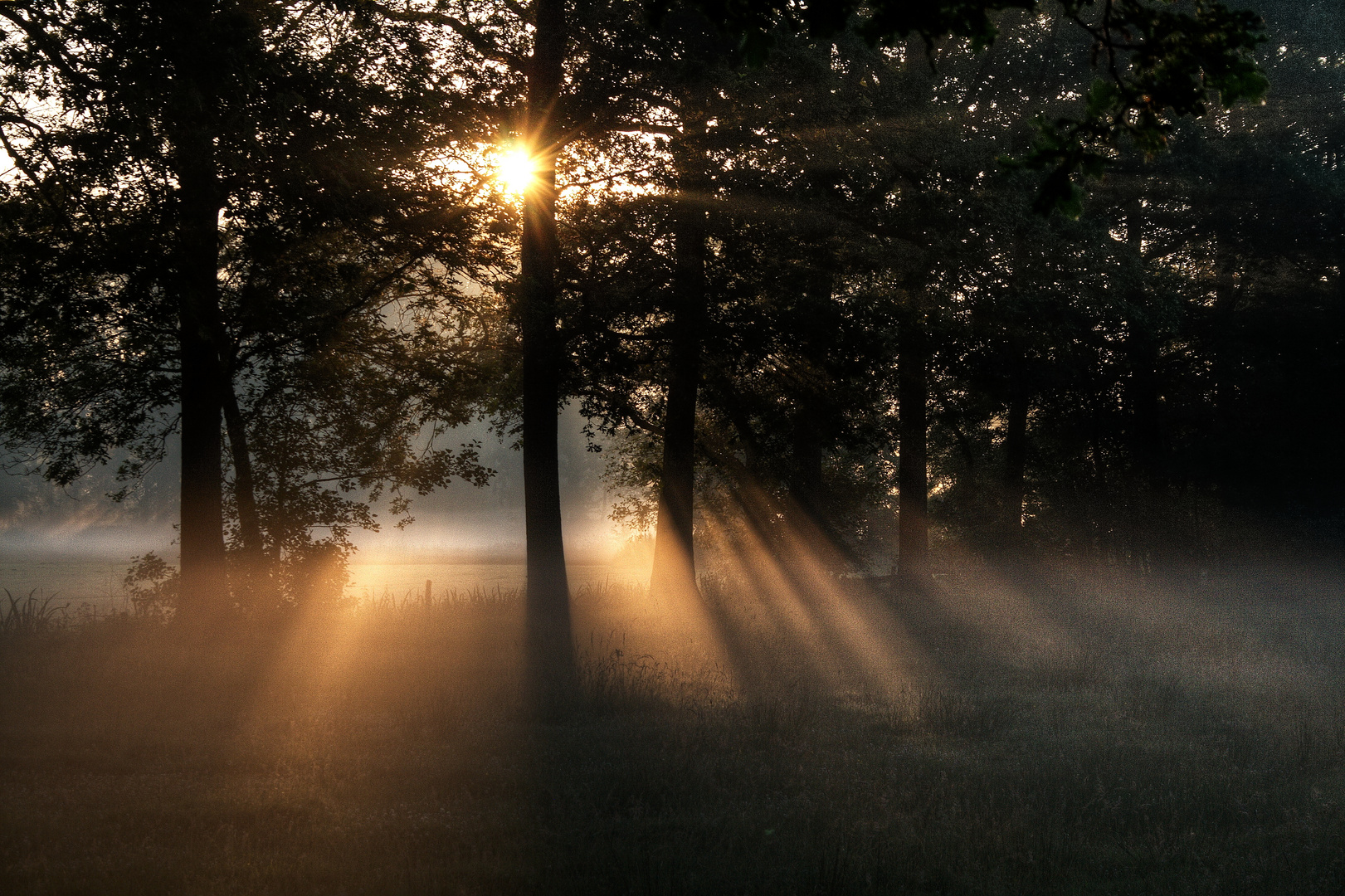 Früh am Morgen