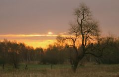 früh am Morgen