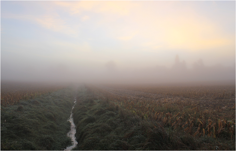 Früh am Morgen ...