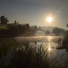 Früh am Morgen an der Ilz bei Passau