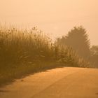 Früh am Morgen auf dem Radweg