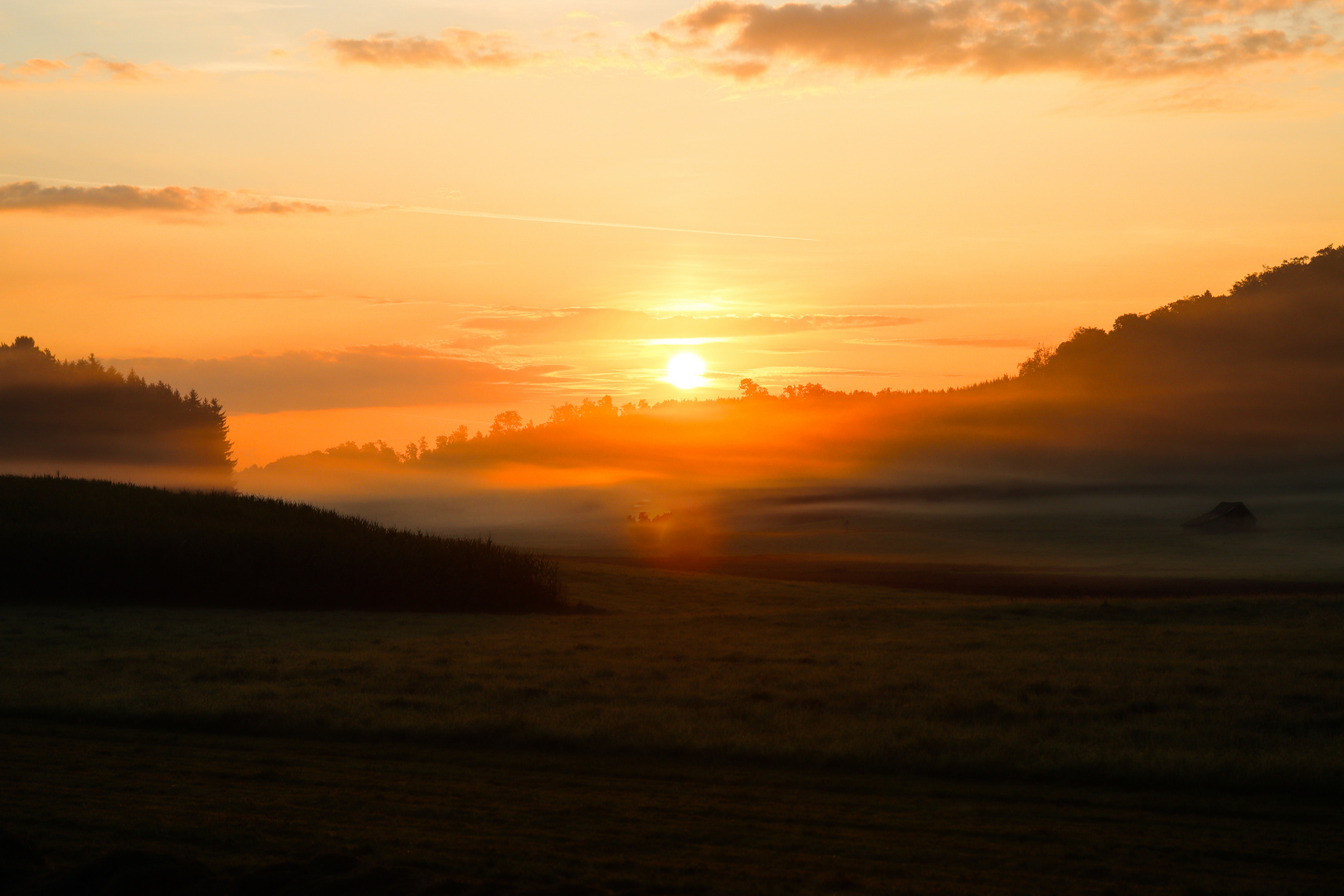 Früh am Morgen auf der Alb...