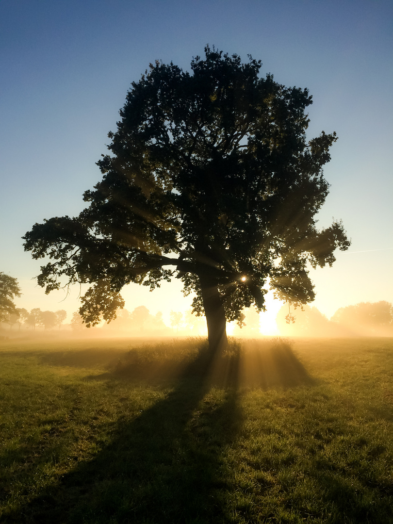 Früh am Morgen