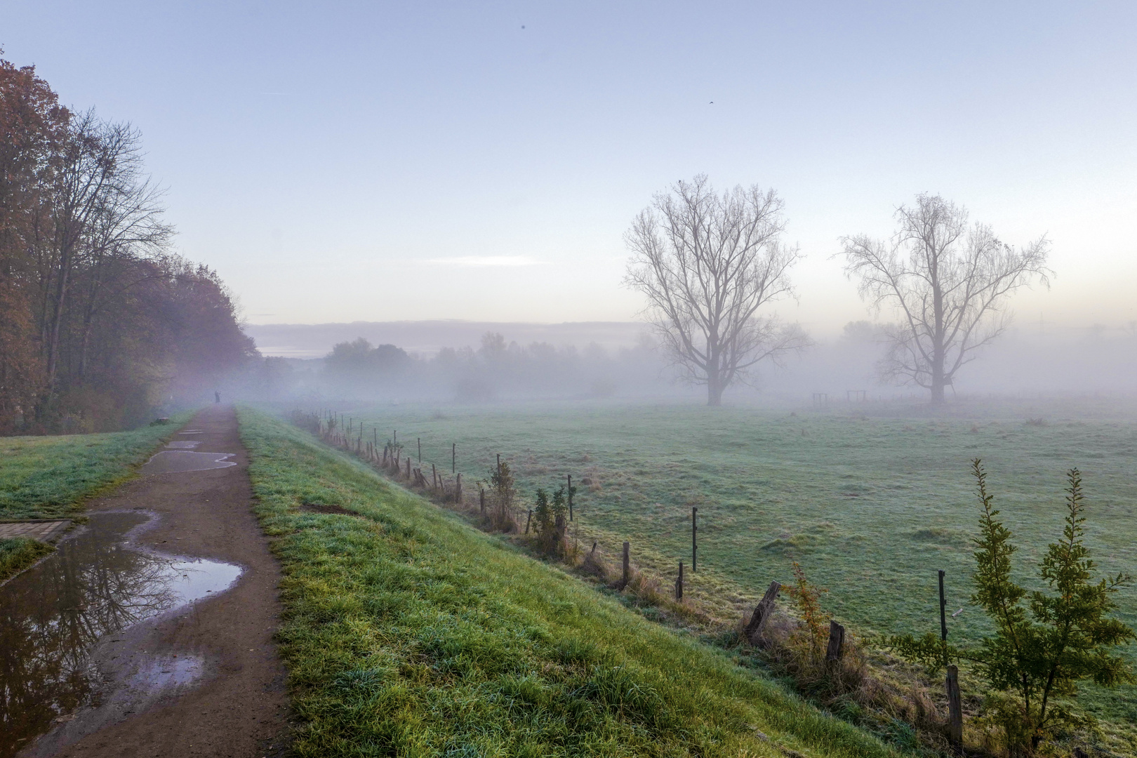 Früh am Morgen .....