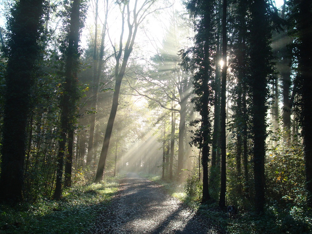 Früh am Morgen