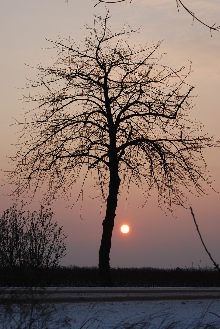 früh am morgen bei -15 °C