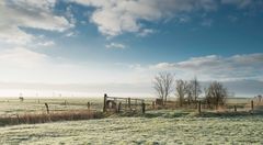 früh am Morgen bei Frost und Nebel