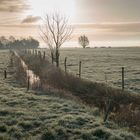 früh am Morgen bei Frost und Nebel2