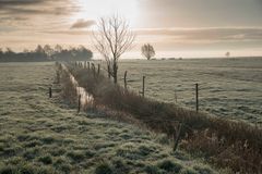 früh am Morgen bei Frost und Nebel2