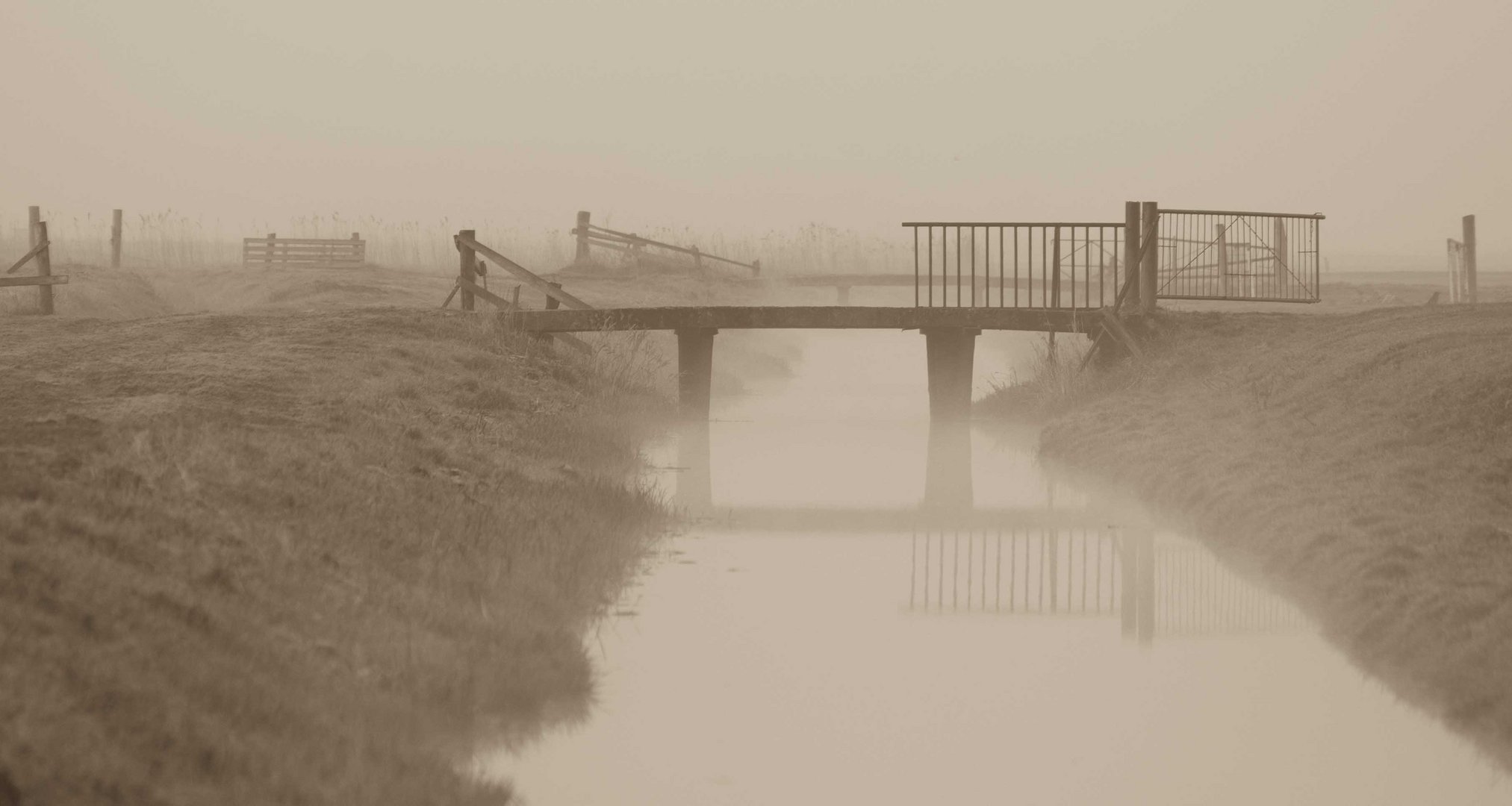 früh am Morgen bei Frost und Nebel6