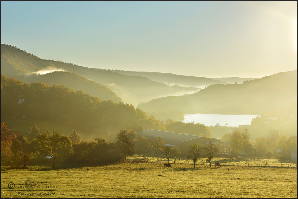 früh am Morgen