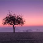 Früh am Morgen