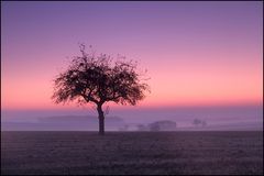 Früh am Morgen