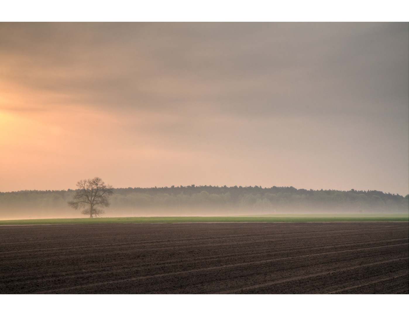 Früh am morgen...