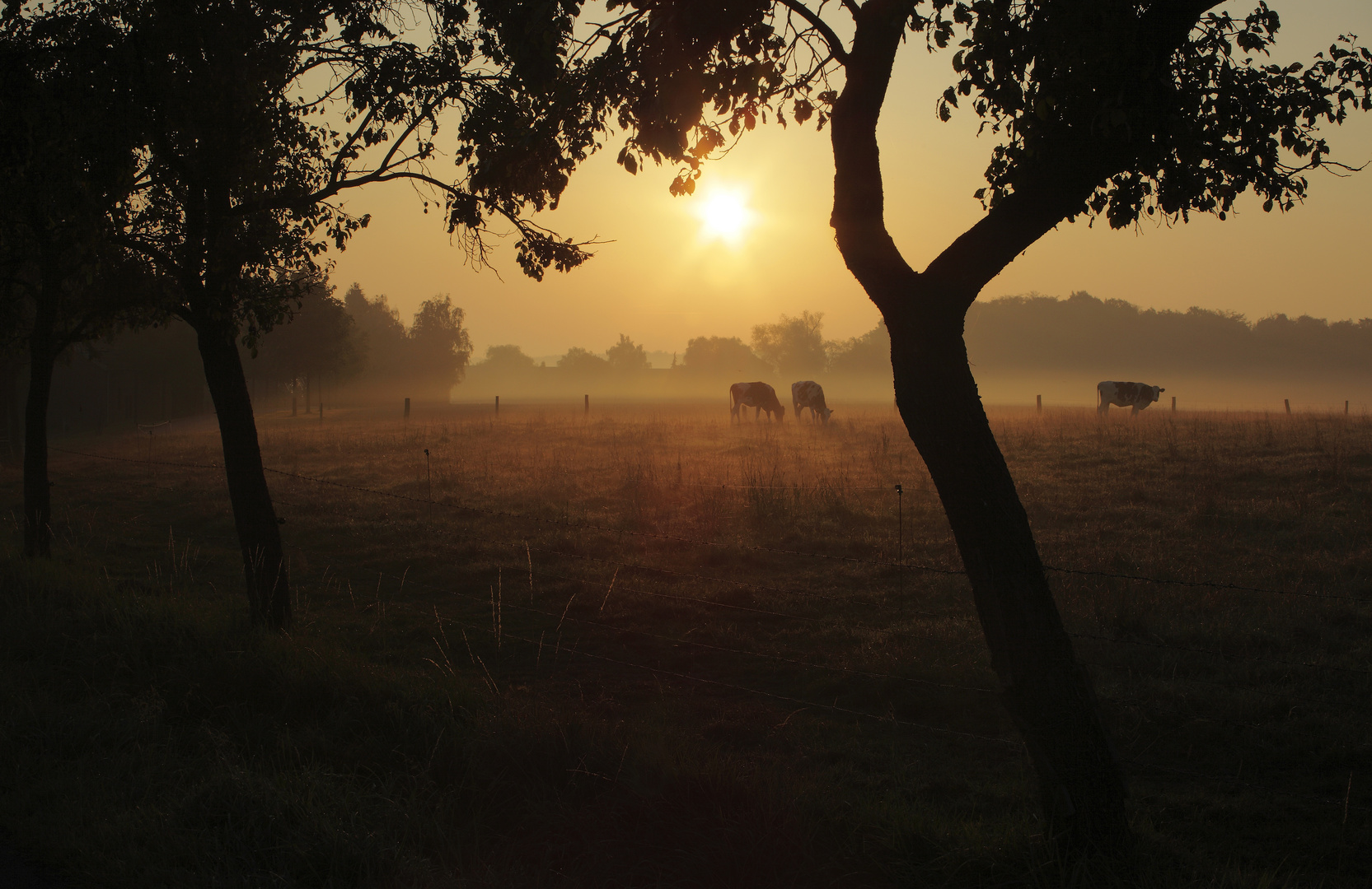 Früh am Morgen