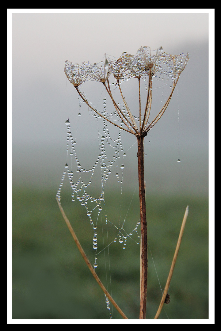 Früh am Morgen