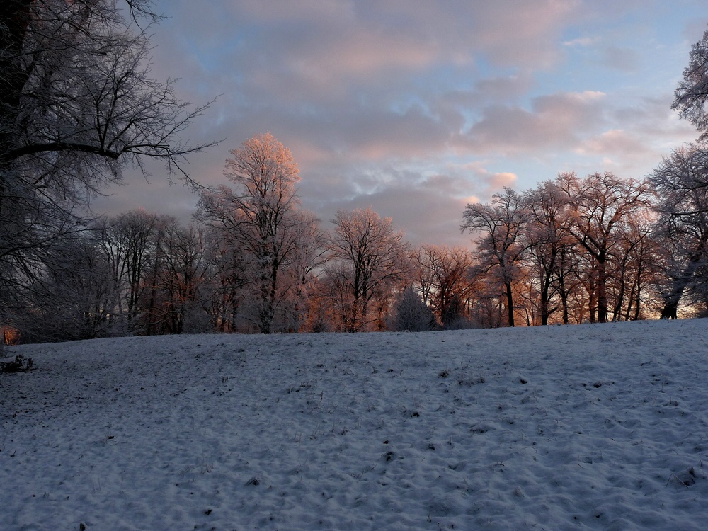 Früh am Morgen