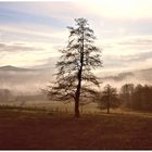 Früh am Morgen die Nebel ziehen über das Land ,