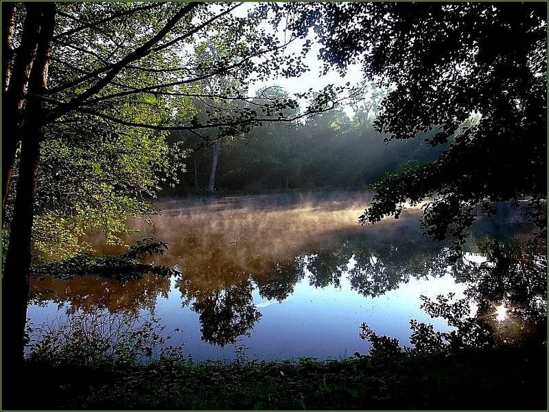 Früh am Morgen.....