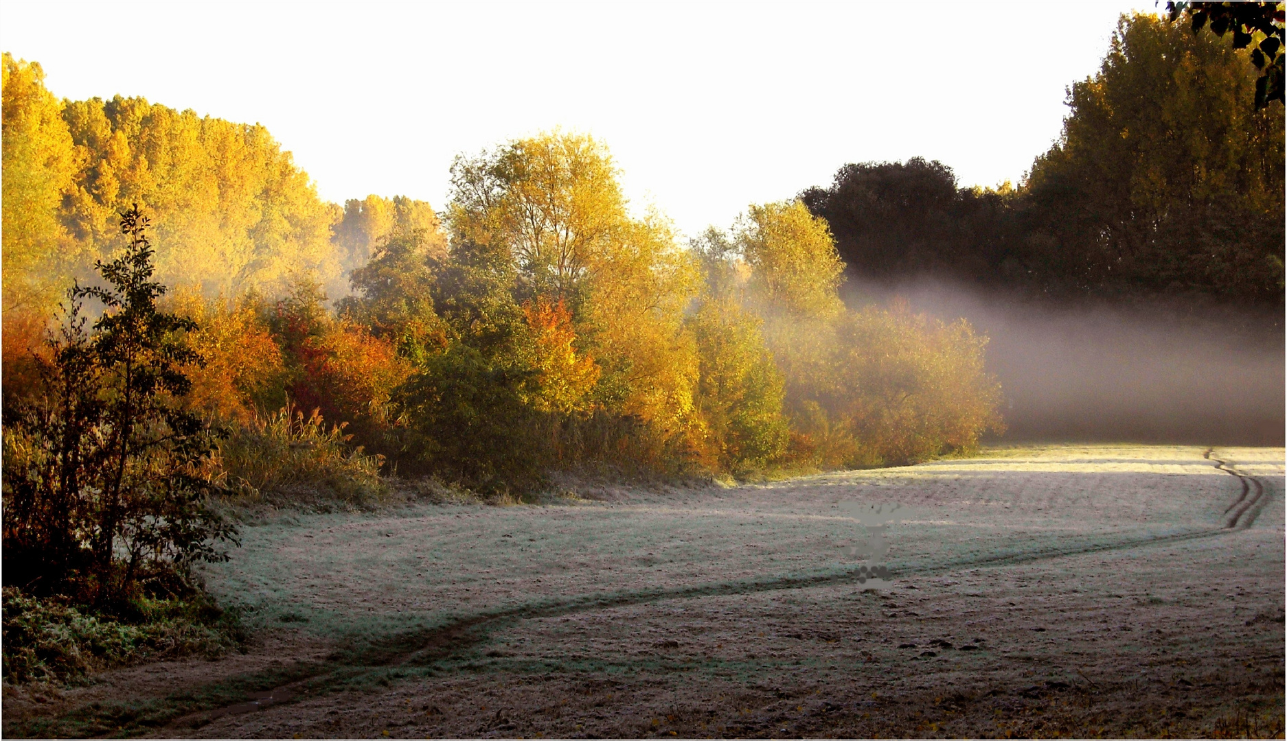 Früh am Morgen ...