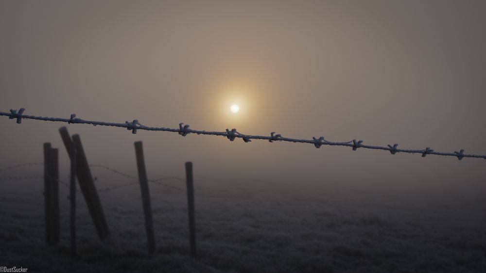 ....früh am morgen